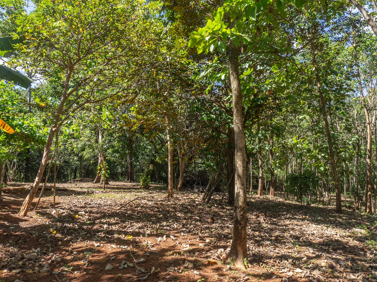 Finca de San Pedro — 7