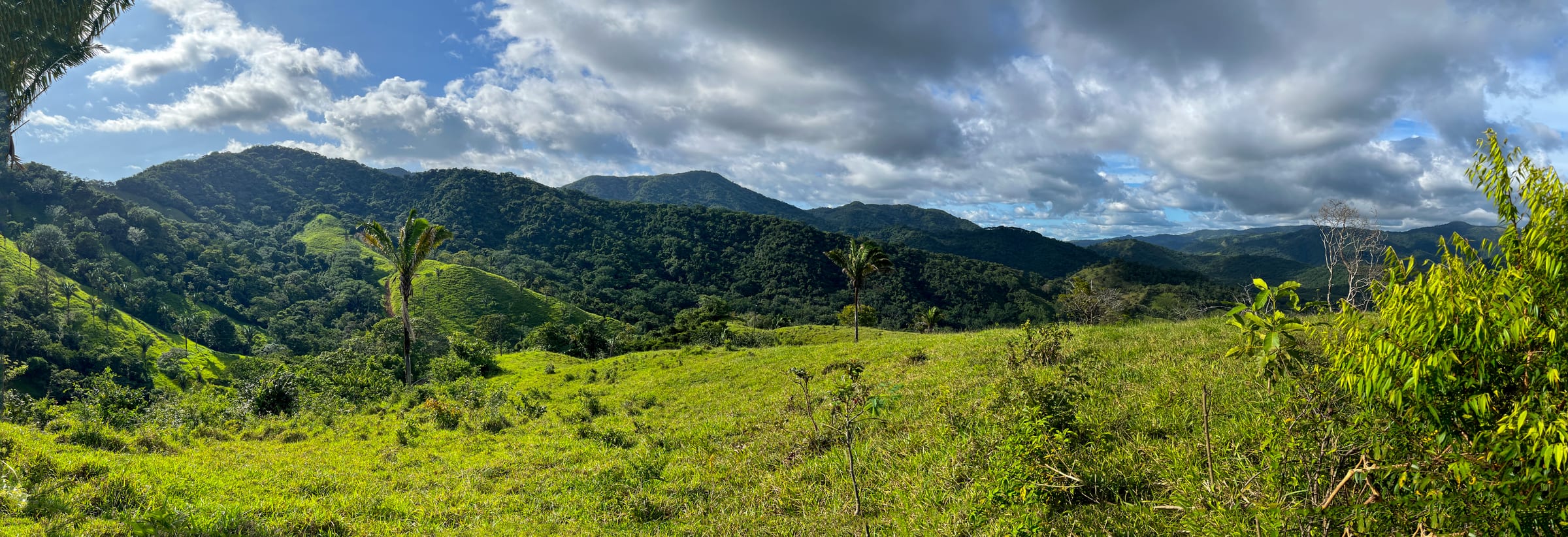 Finca mit Meerblick — 4