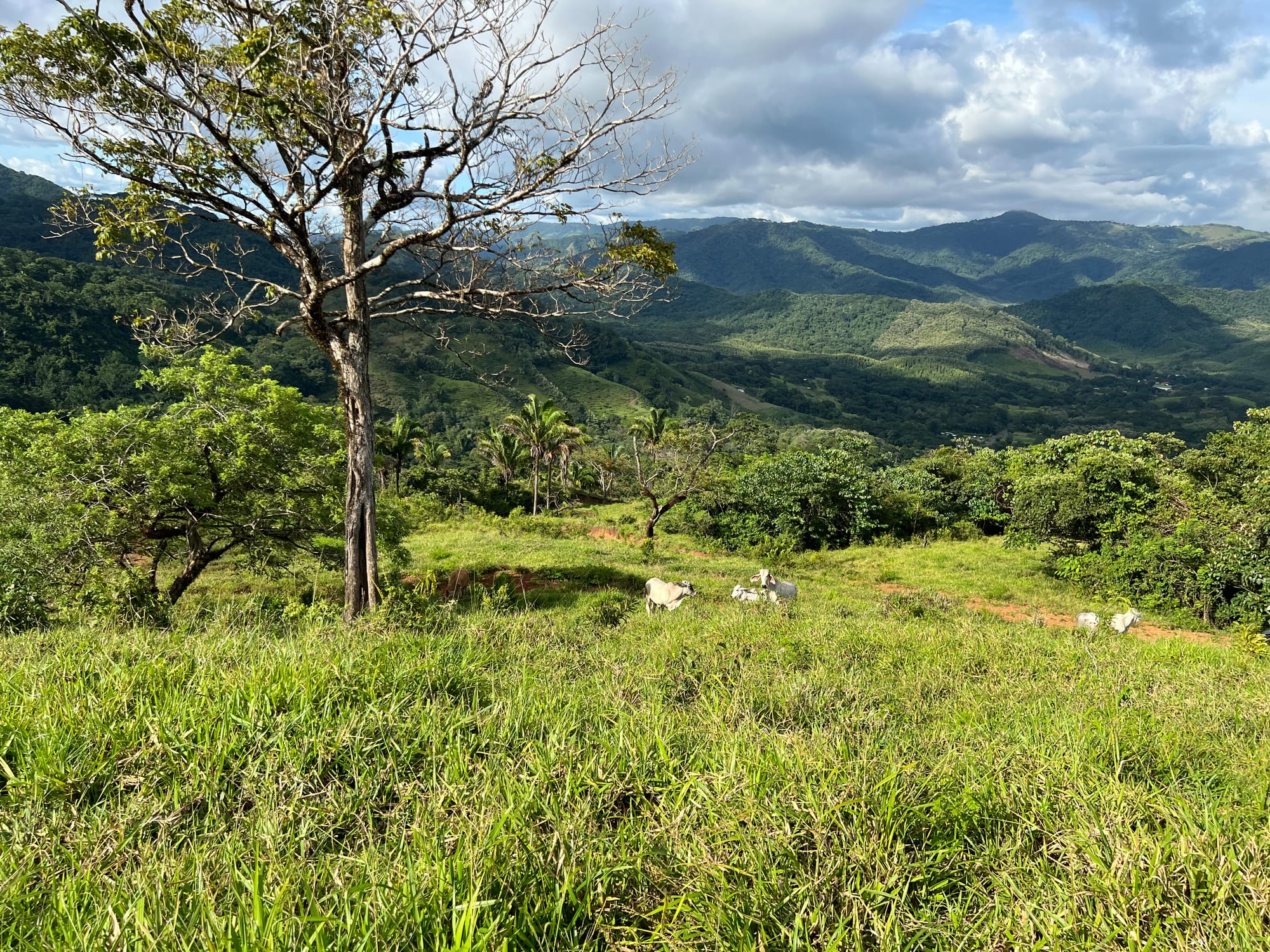 Finca mit Meerblick — 8