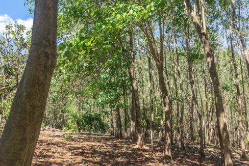 Exclusive Farm for Sale in San Pedro Nandayure, Costa Rica — San Pedro Nandayure, Guanacaste, Costa Rica