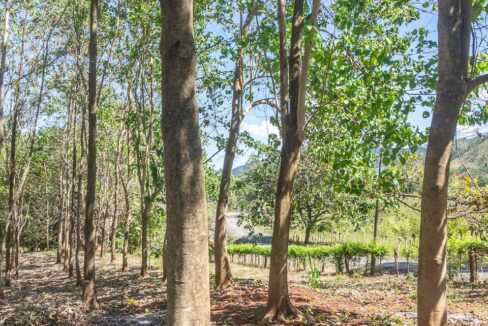 Exclusive Farm for Sale in San Pedro Nandayure, Costa Rica — San Pedro Nandayure, Guanacaste, Costa Rica