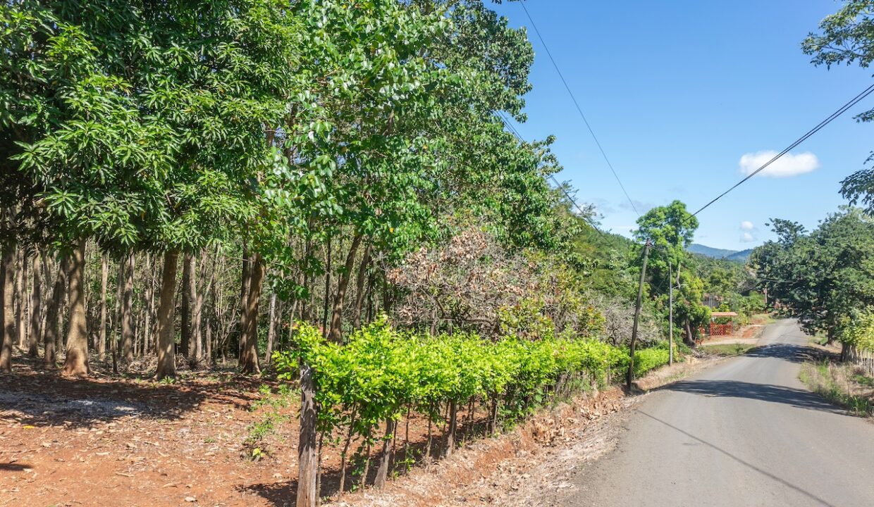 Exclusive Farm for Sale in San Pedro Nandayure, Costa Rica — farm for sale in San Pedro Nandayure, Guanacaste, Costa Rica