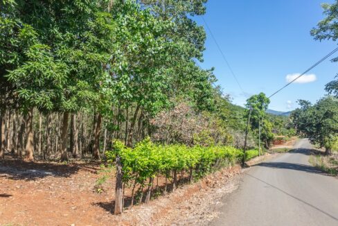 Exclusive Farm for Sale in San Pedro Nandayure, Costa Rica — farm for sale in San Pedro Nandayure, Guanacaste, Costa Rica