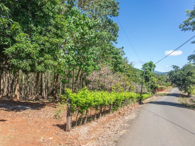 Exclusive Farm for Sale in San Pedro Nandayure, Costa Rica — farm for sale in San Pedro Nandayure, Guanacaste, Costa Rica
