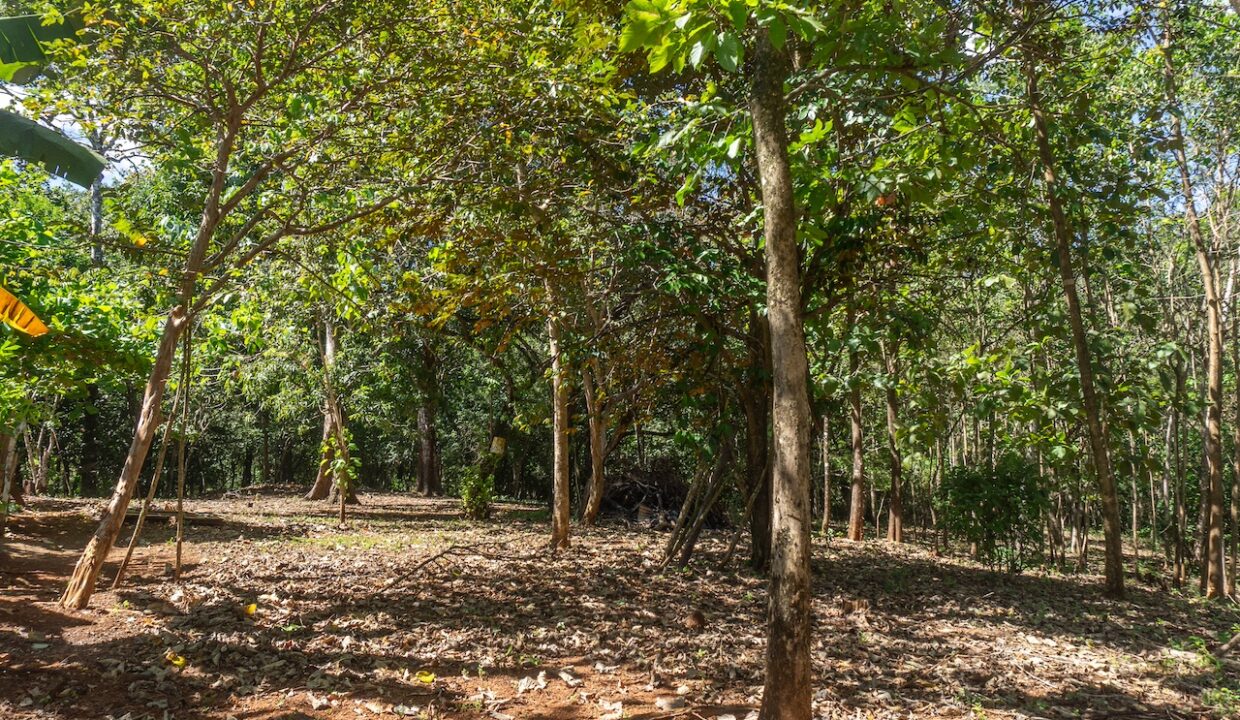 Exclusive Farm for Sale in San Pedro Nandayure, Costa Rica — San Pedro Nandayure, Guanacaste, Costa Rica