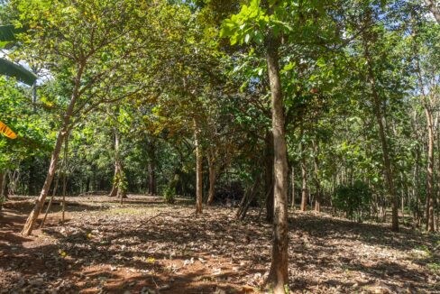 Exclusive Farm for Sale in San Pedro Nandayure, Costa Rica — San Pedro Nandayure, Guanacaste, Costa Rica
