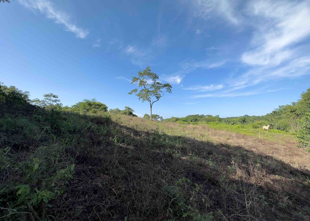 Samara Woods Lot — Samara, Guanacaste, Costa Rica