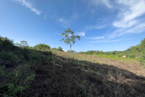 Samara Woods Lot — Samara, Guanacaste, Costa Rica