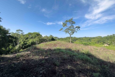 Samara Woods Lot, Samara — building lot for sale on Costa Rica's Nicoya Peninsula