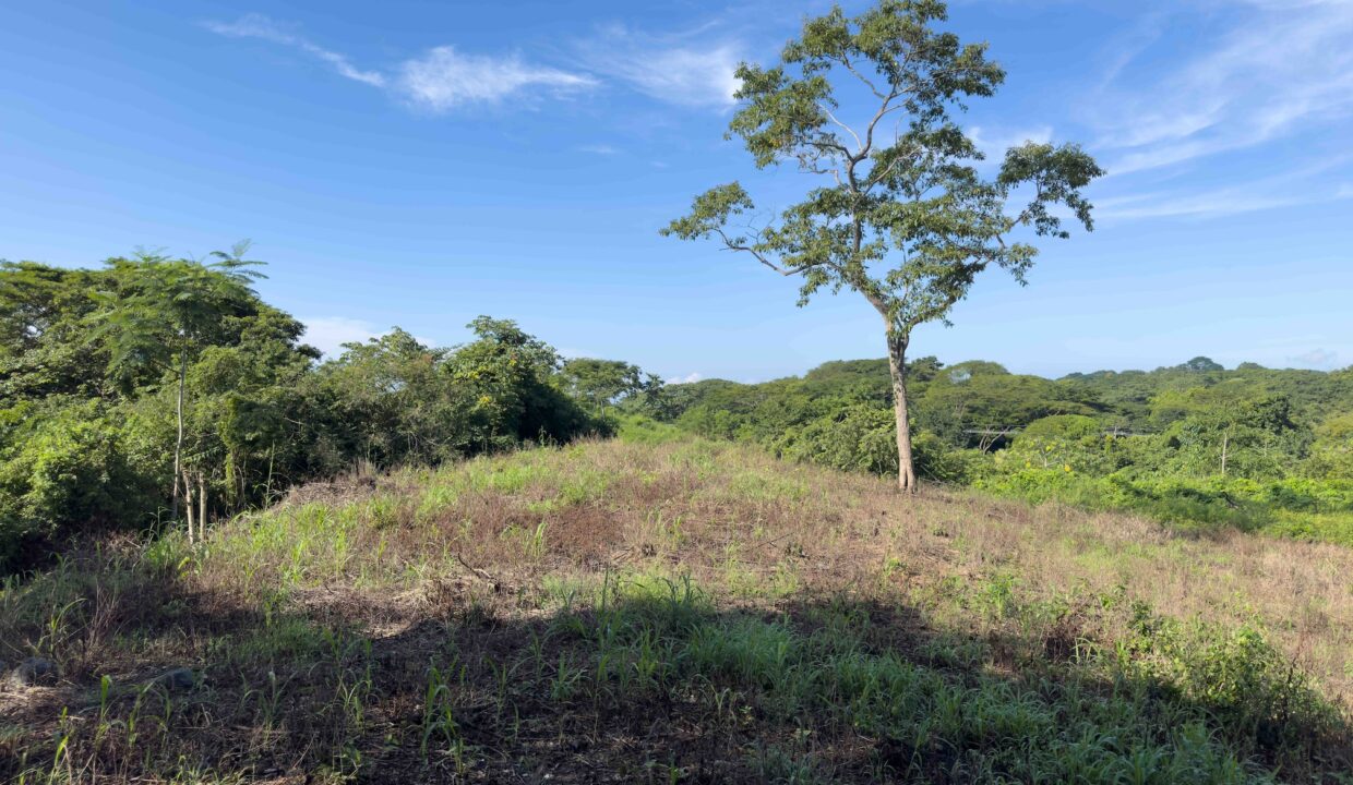 Samara Woods Lot, Samara — building lot for sale on Costa Rica's Nicoya Peninsula