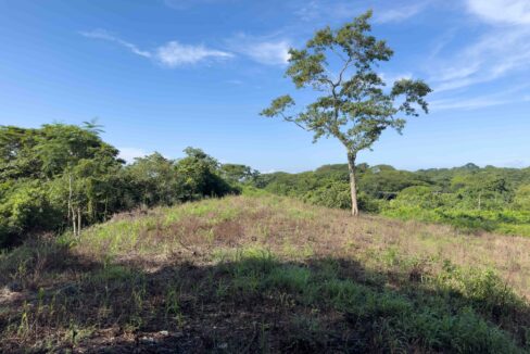 Samara Woods Lot, Samara — building lot for sale on Costa Rica's Nicoya Peninsula
