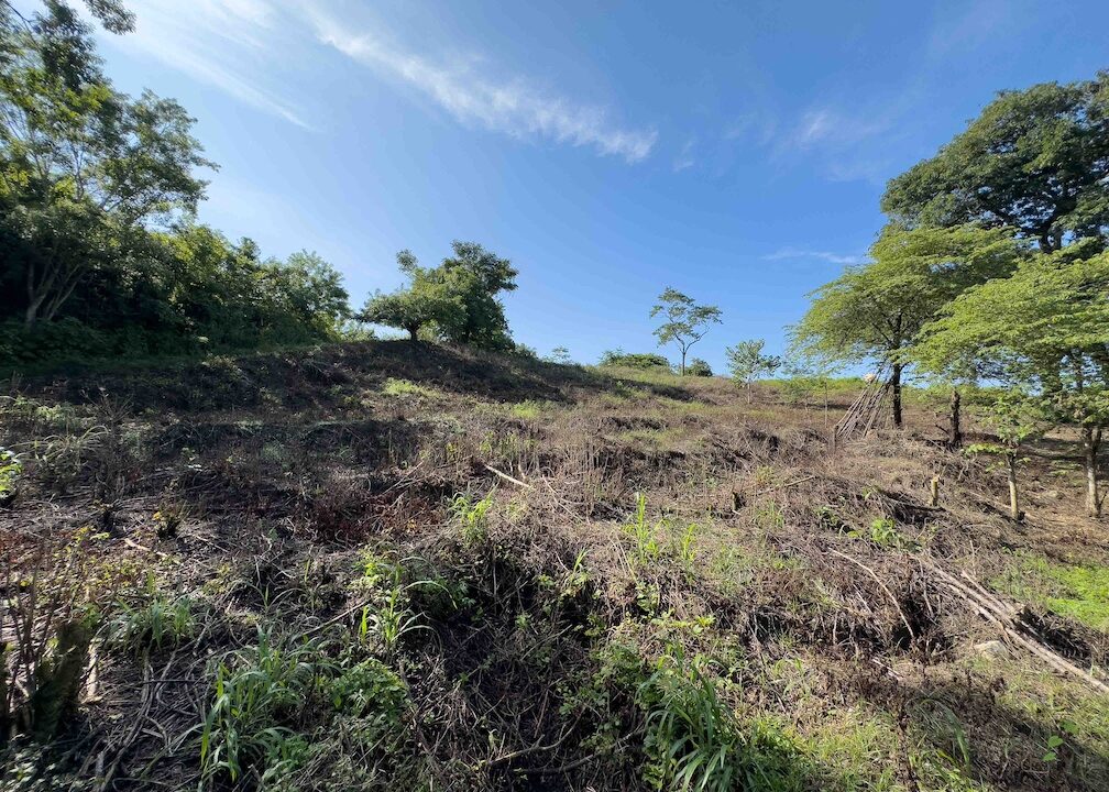 Samara Woods Lot — building lot for sale in Samara, Guanacaste, Costa Rica