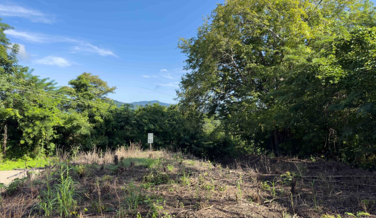 Samara Woods Lot — building lot for sale in Samara, Costa Rica