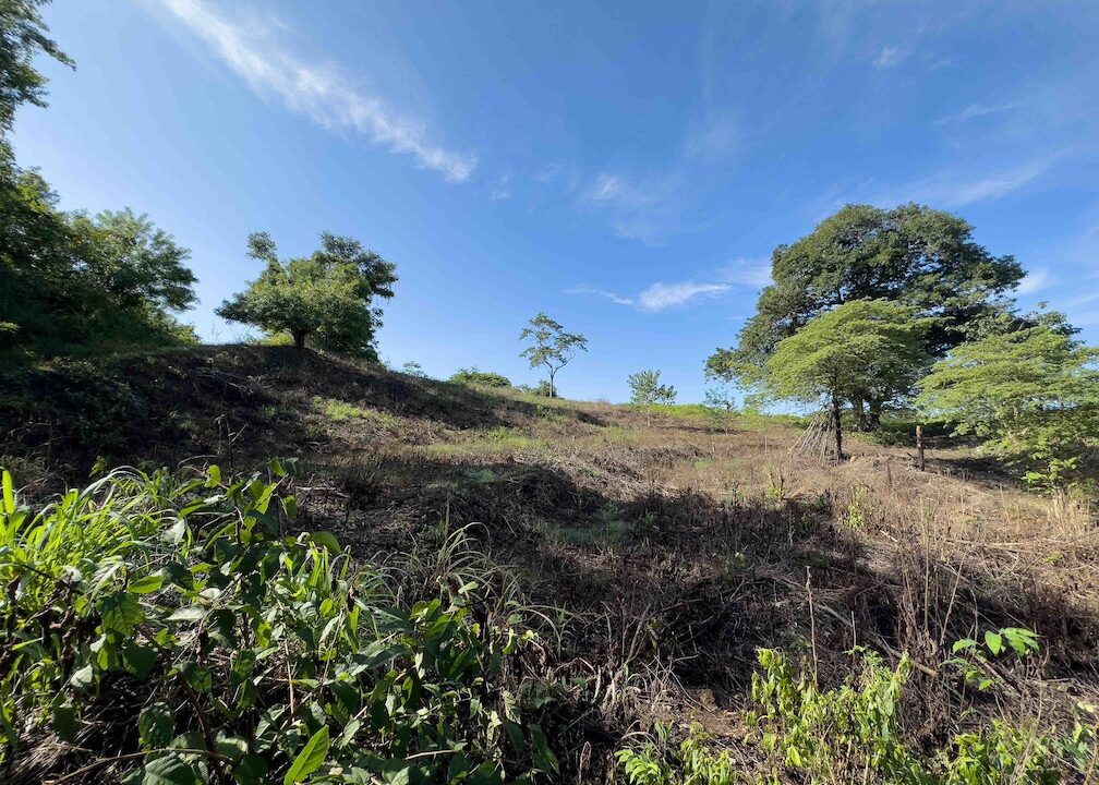 Samara Woods Lot — Samara, Guanacaste, Costa Rica