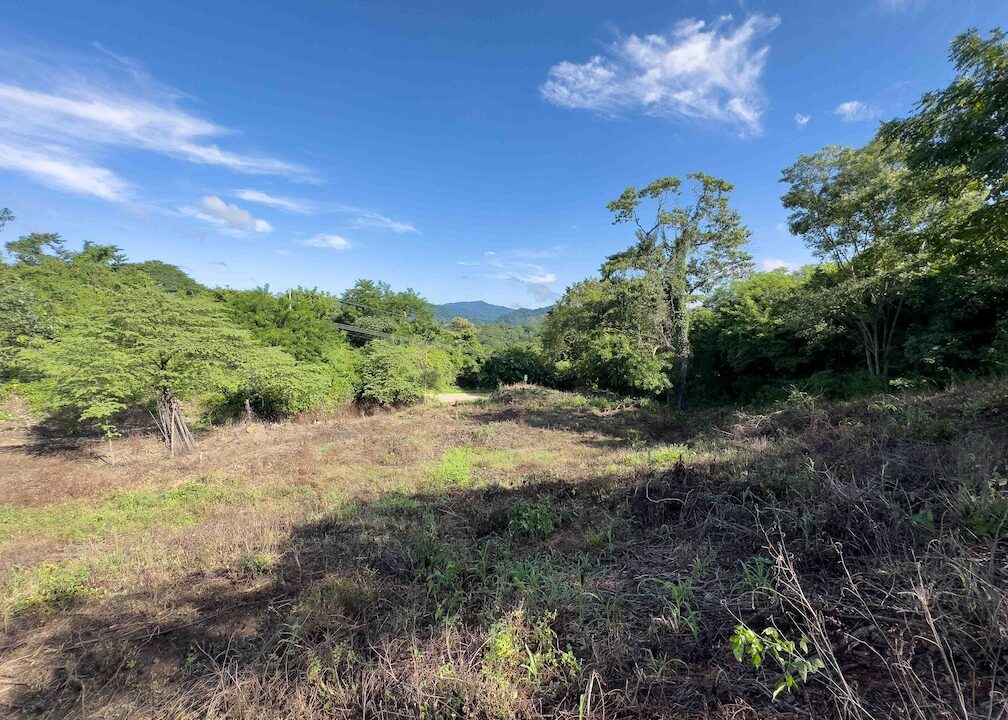 Samara Woods Lot — building lot for sale in Samara, Guanacaste, Costa Rica