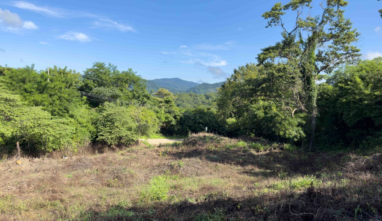 Samara Woods Lot — building lot for sale in Samara, Costa Rica
