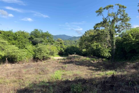 Samara Woods Lot — building lot for sale in Samara, Costa Rica