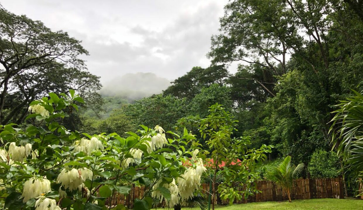 Tiny House & Bungalows Near Barrigona Beach — home for sale in Playa Barrigona, Costa Rica