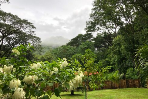 Tiny House & Bungalows Near Barrigona Beach — home for sale in Playa Barrigona, Costa Rica