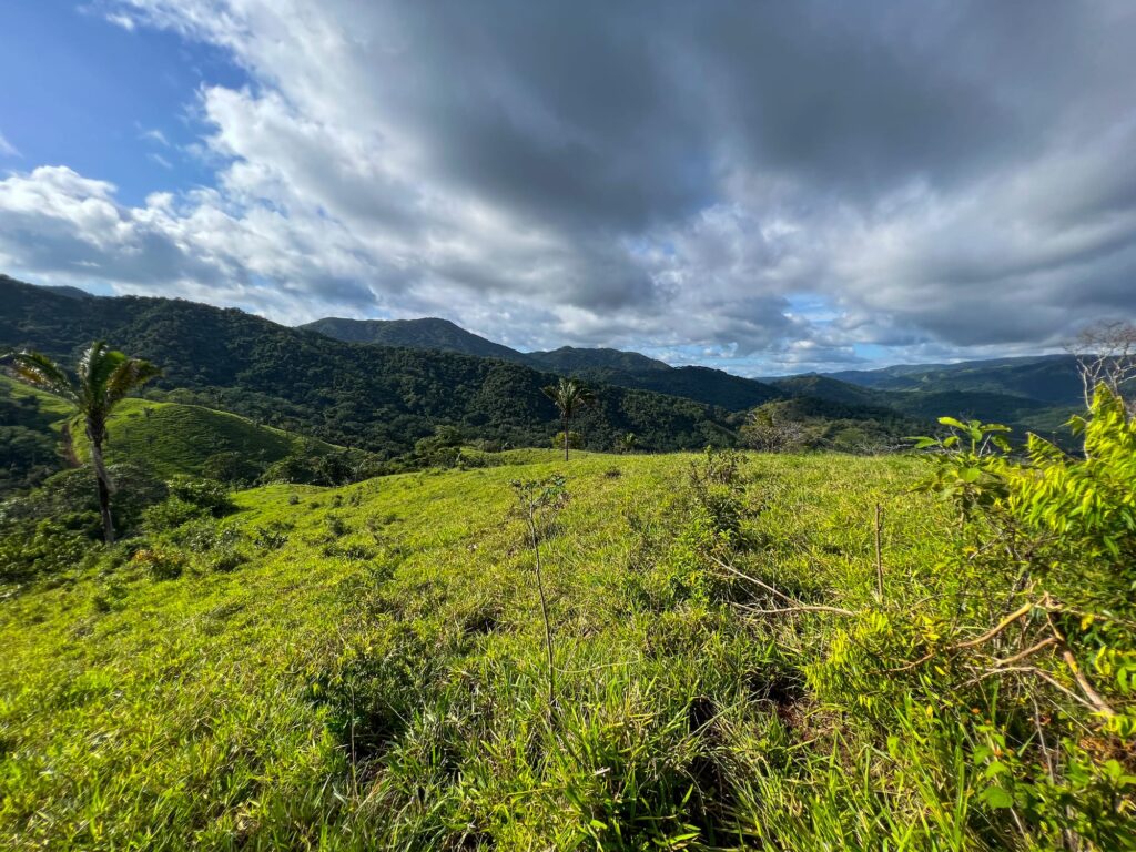10-Hectare Farm with Ocean View near Playa Carrillo, Guanacaste — Playa Carrillo, Guanacaste, Costa Rica