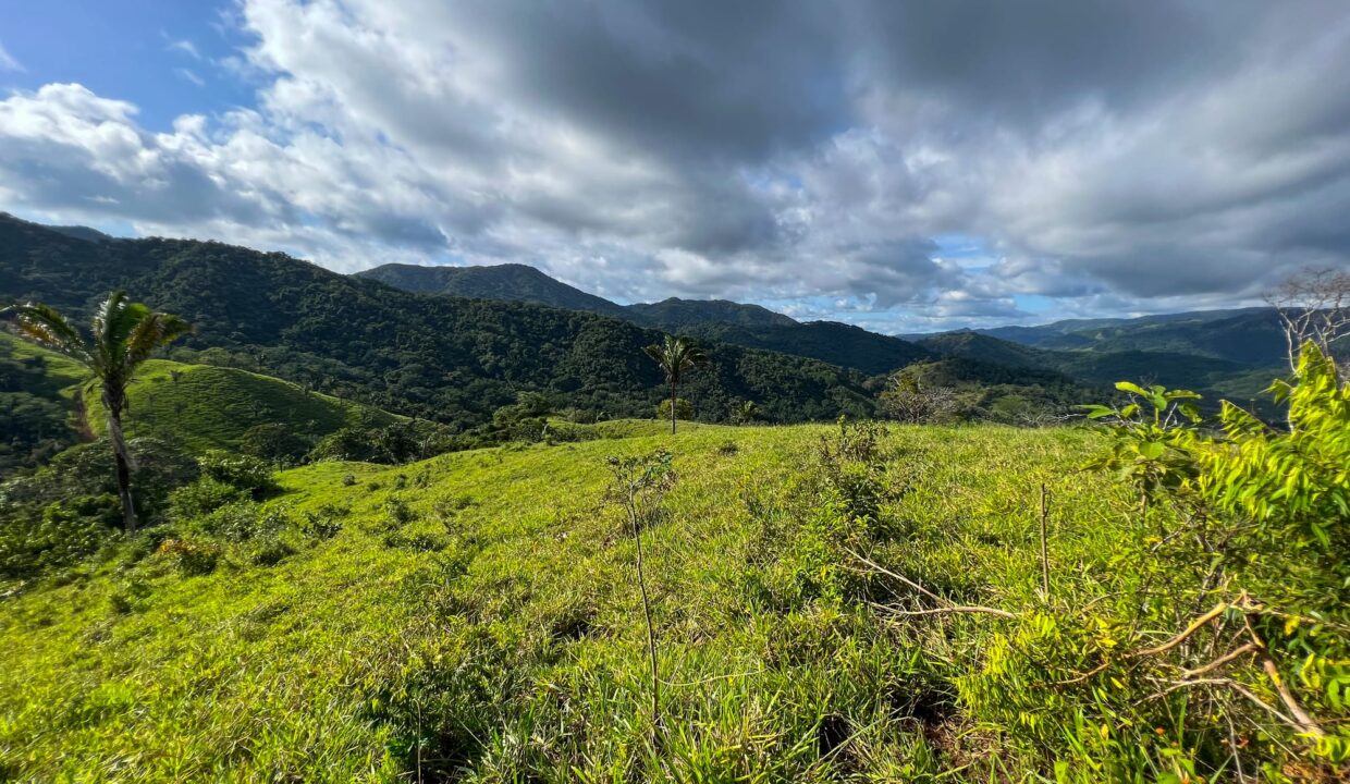 10-Hectare Farm with Ocean View near Playa Carrillo, Guanacaste — farm for sale in Playa Carrillo, Guanacaste, Costa Rica