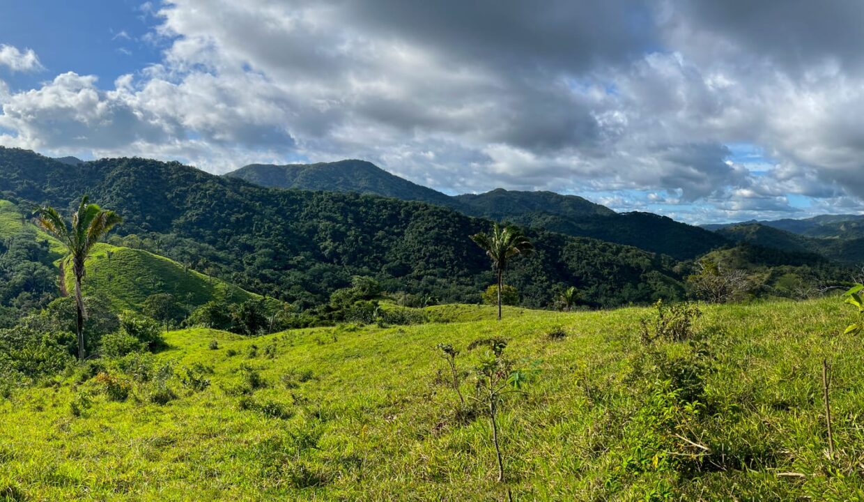 10-Hectare Farm with Ocean View near Playa Carrillo, Guanacaste — farm for sale in Playa Carrillo, Costa Rica