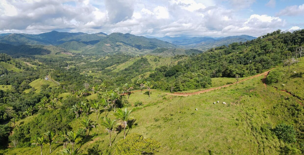 10-Hectare Farm with Ocean View near Playa Carrillo, Guanacaste — farm for sale in Playa Carrillo, Guanacaste, Costa Rica