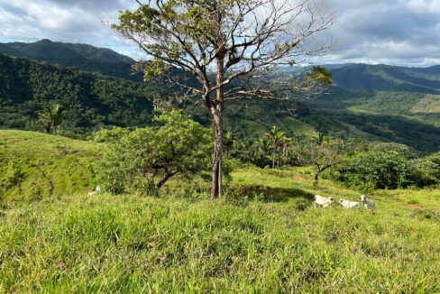 10-Hectare Farm with Ocean View near Playa Carrillo, Guanacaste — Playa Carrillo, Guanacaste, Costa Rica