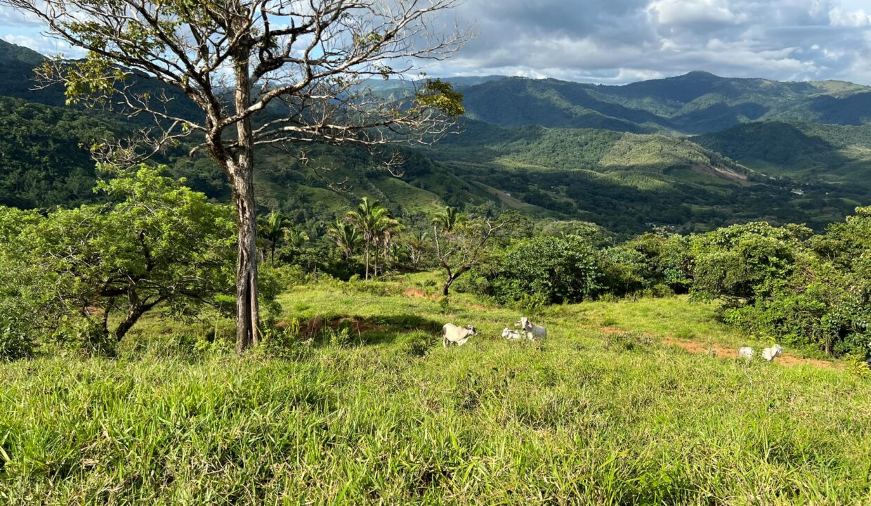 10-Hectare Farm with Ocean View near Playa Carrillo, Guanacaste — farm for sale in Playa Carrillo, Costa Rica