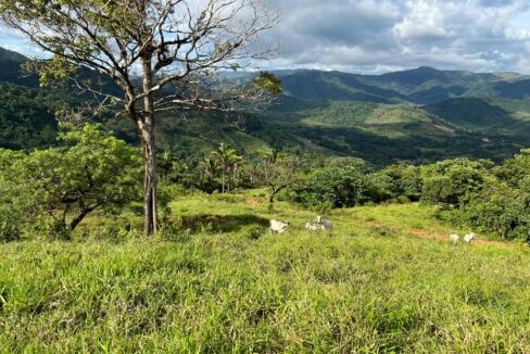 10-Hectare Farm with Ocean View near Playa Carrillo, Guanacaste — farm for sale in Playa Carrillo, Costa Rica