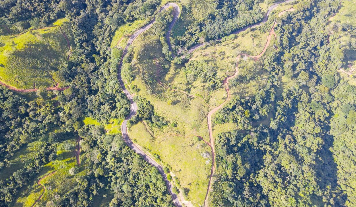 10-Hectare Farm with Ocean View near Playa Carrillo, Guanacaste — farm for sale in Playa Carrillo, Guanacaste, Costa Rica