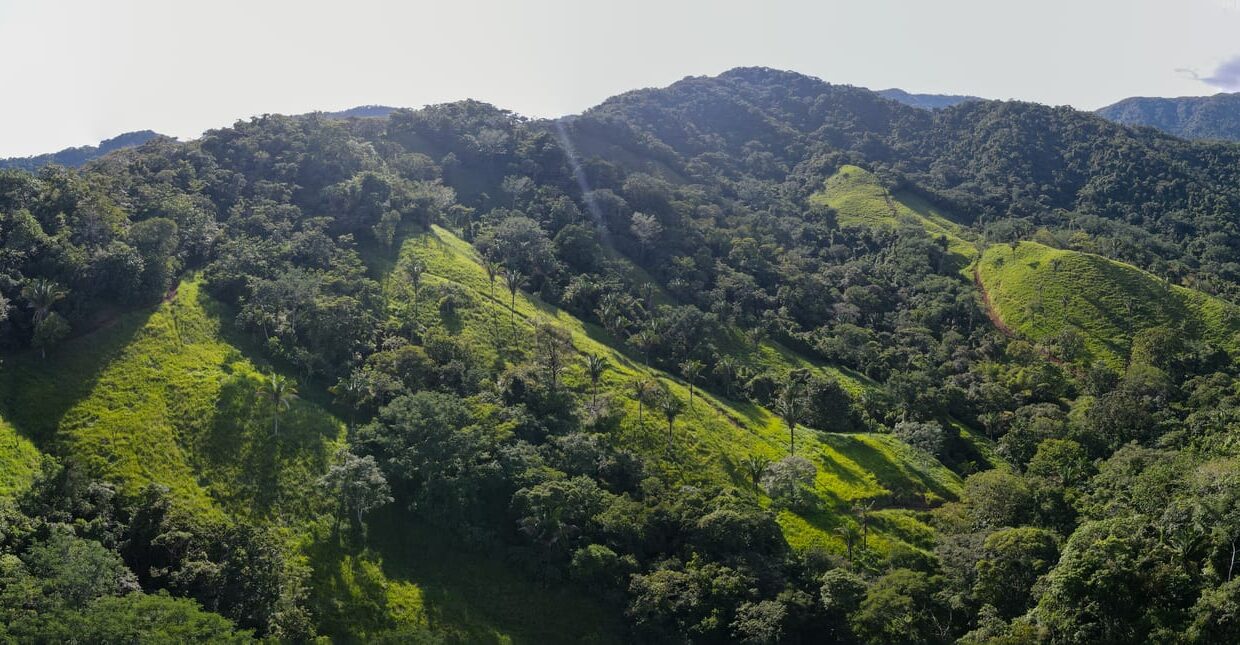 10-Hectare Farm with Ocean View near Playa Carrillo, Guanacaste, Playa Carrillo — farm for sale on Costa Rica's Nicoya Peninsula