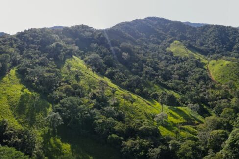 10-Hectare Farm with Ocean View near Playa Carrillo, Guanacaste, Playa Carrillo — farm for sale on Costa Rica's Nicoya Peninsula