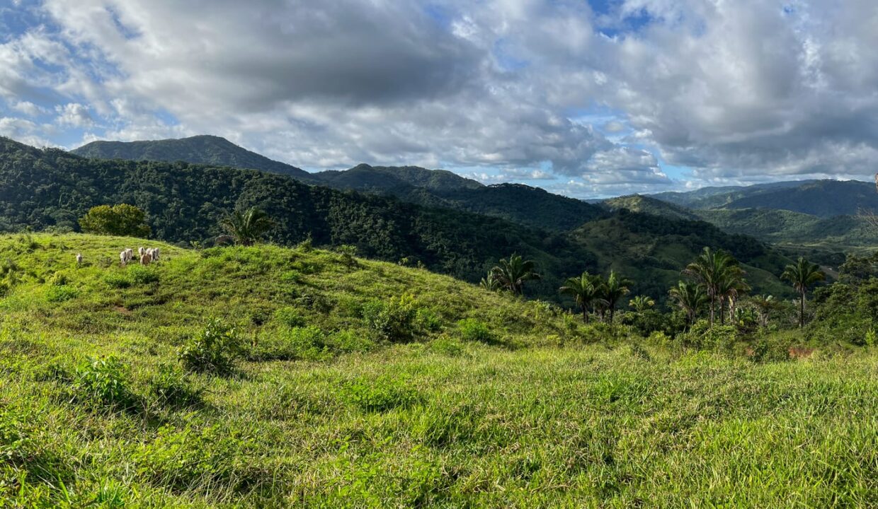 10-Hectare Farm with Ocean View near Playa Carrillo, Guanacaste — Playa Carrillo, Guanacaste, Costa Rica