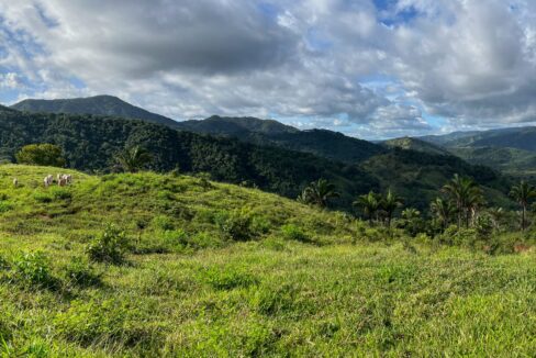 10-Hectare Farm with Ocean View near Playa Carrillo, Guanacaste — Playa Carrillo, Guanacaste, Costa Rica