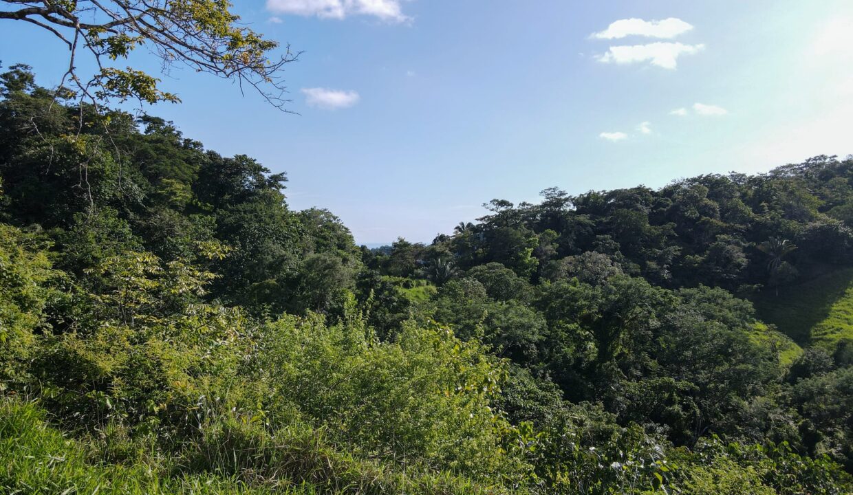 10-Hectare Farm with Ocean View near Playa Carrillo, Guanacaste — farm for sale in Playa Carrillo, Costa Rica