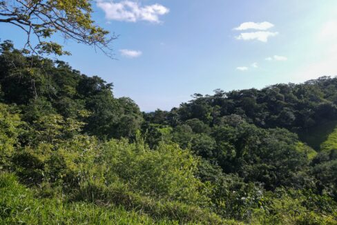 10-Hectare Farm with Ocean View near Playa Carrillo, Guanacaste — farm for sale in Playa Carrillo, Costa Rica