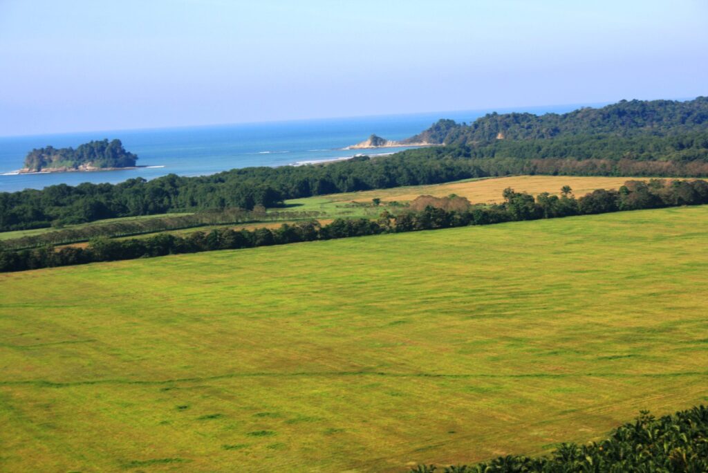 Lomas del Rey, Guanacaste